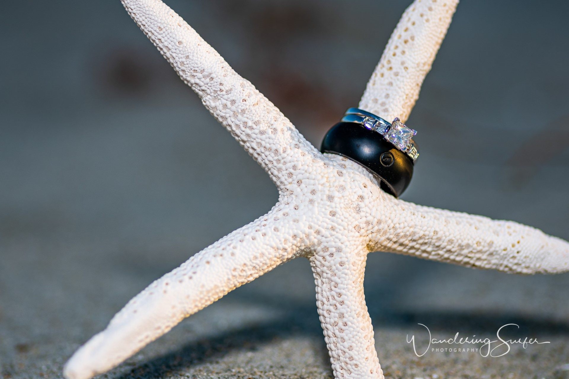 Wedding rings resting on a white starfish